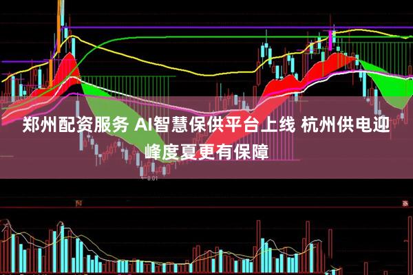 郑州配资服务 AI智慧保供平台上线 杭州供电迎峰度夏更有保障