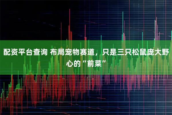 配资平台查询 布局宠物赛道，只是三只松鼠庞大野心的“前菜”