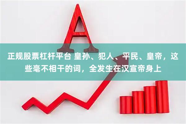 正规股票杠杆平台 皇孙、犯人、平民、皇帝，这些毫不相干的词，全发生在汉宣帝身上